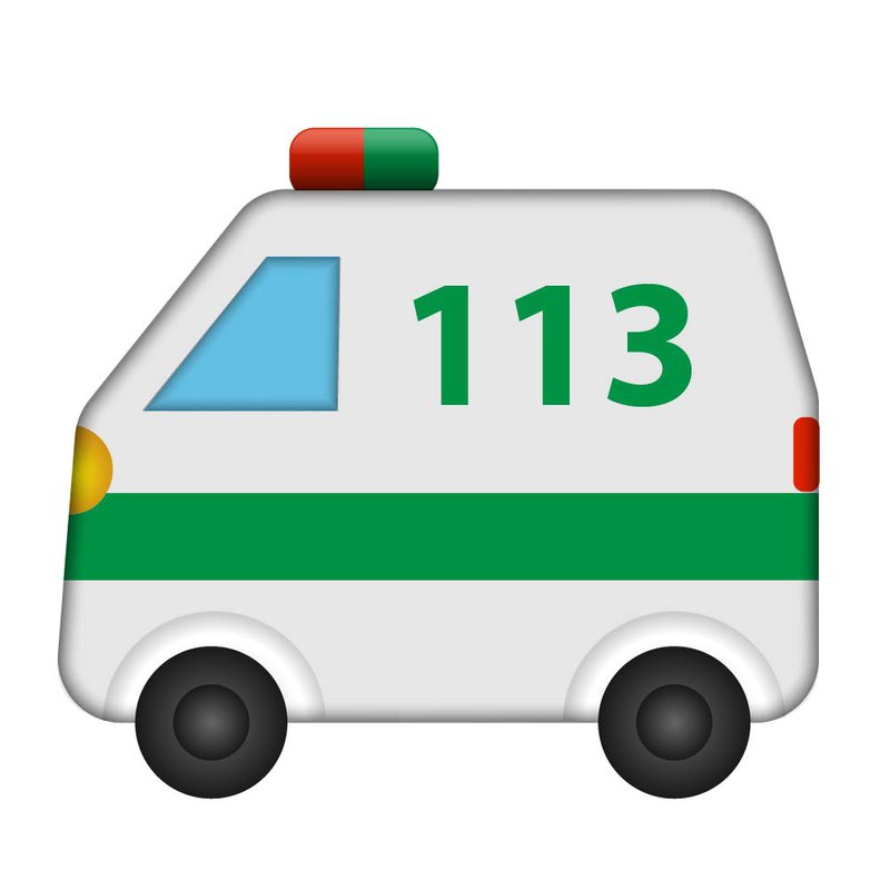 113.jpg vælubíllinn tjákn
